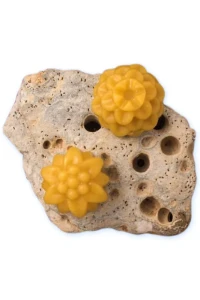 Снимка на Восъчно блокче